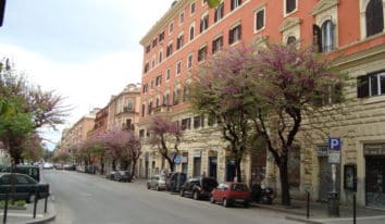 idraulico  San Lorenzo